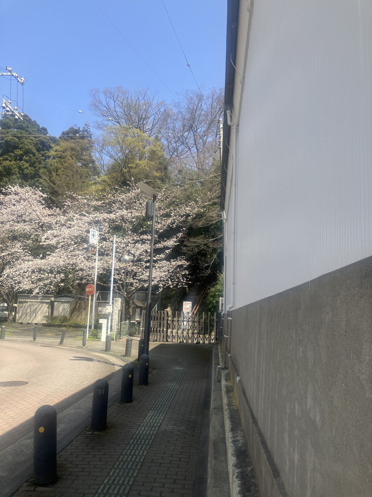 長禅寺山門下桜と蔵